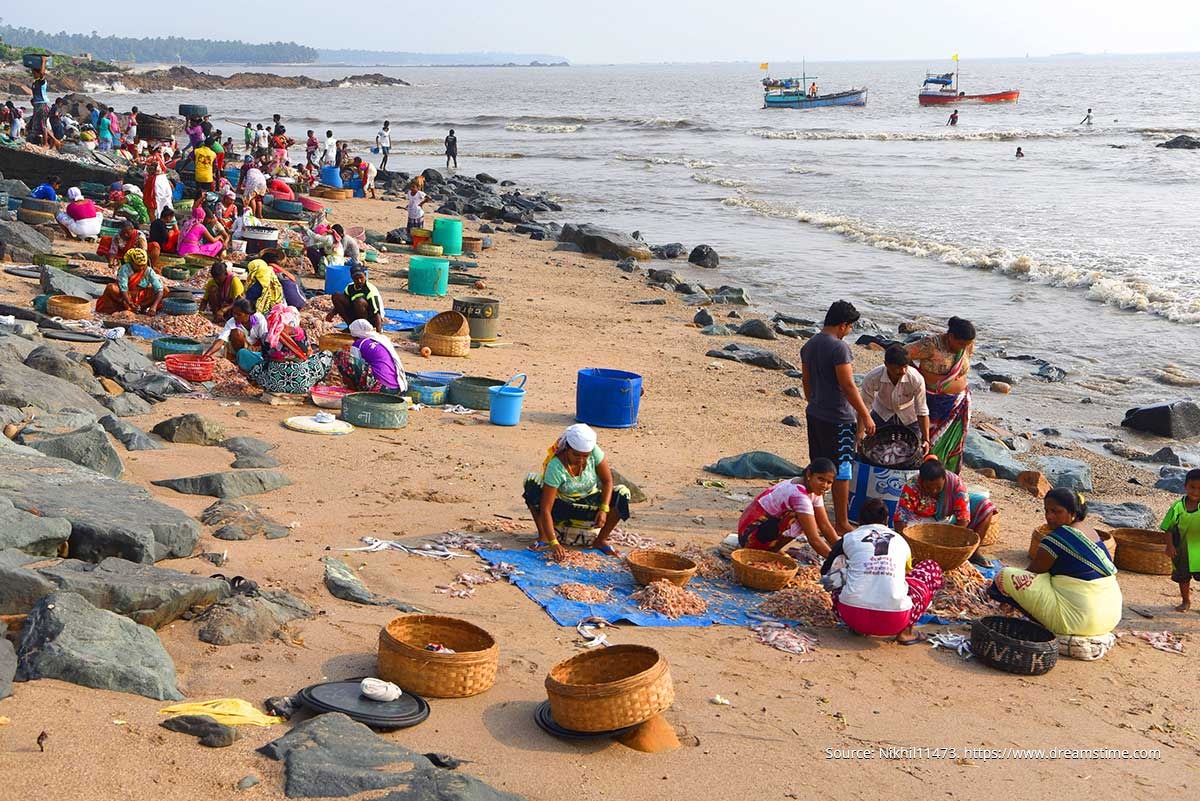 Coastal Custodians